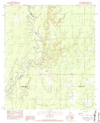 preview thumbnail of historical topo map of Beauregard County, LA in 1982