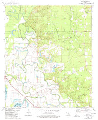 preview thumbnail of historical topo map of Bossier County, LA in 1980