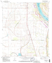 preview thumbnail of historical topo map of East Carroll County, LA in 1994