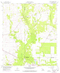 preview thumbnail of historical topo map of Vernon County, LA in 1959
