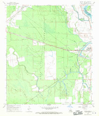 Download a high-resolution, GPS-compatible USGS topo map for Swayze Lake, LA (1970 edition)