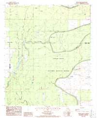 Download a high-resolution, GPS-compatible USGS topo map for Tensas Bluff, LA (1987 edition)