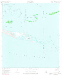 Download a high-resolution, GPS-compatible USGS topo map for Timbalier Island, LA (1977 edition)