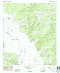 Download a high-resolution, GPS-compatible USGS topo map for Union Springs, LA (1984 edition)