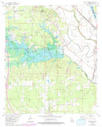 Download a high-resolution, GPS-compatible USGS topo map for Wallace Lake, LA (1992 edition)