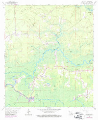 Download a high-resolution, GPS-compatible USGS topo map for Whitehall, LA (1989 edition)