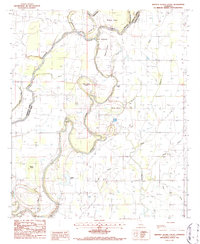 Download a high-resolution, GPS-compatible USGS topo map for Whitney Island South, LA (1987 edition)