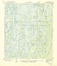 preview thumbnail of historical topo map of Terrebonne County, LA in 1945
