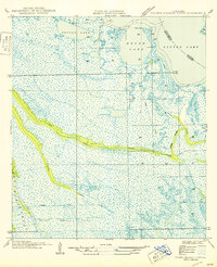 Download a high-resolution, GPS-compatible USGS topo map for Golden Meadow Farms, LA (1950 edition)