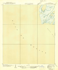 preview thumbnail of historical topo map of Plaquemines County, LA in 1946