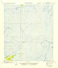 Download a high-resolution, GPS-compatible USGS topo map for Pecan Island NE, LA (1954 edition)