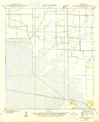 Download a high-resolution, GPS-compatible USGS topo map for Schooner Bayou NW, LA (1946 edition)