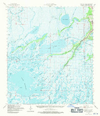 Download a high-resolution, GPS-compatible USGS topo map for Bayou Du Large, LA (1971 edition)