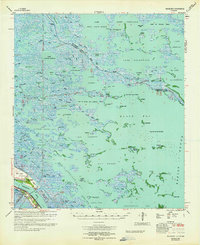 Download a high-resolution, GPS-compatible USGS topo map for Black Bay, LA (1964 edition)