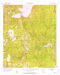 Download a high-resolution, GPS-compatible USGS topo map for Buckeye, LA (1962 edition)