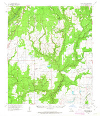 Download a high-resolution, GPS-compatible USGS topo map for Castor Creek, LA (1963 edition)