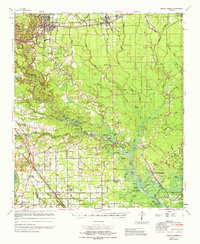 preview thumbnail of historical topo map of Denham Springs, LA in 1965
