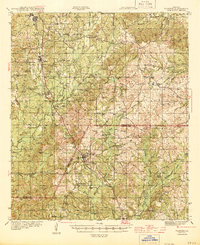 preview thumbnail of historical topo map of Florien, LA in 1944