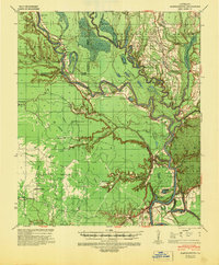 1941 Map of Harrisonburg, 1946 Print