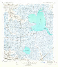 1944 Map of Lac Des Allemands, 1964 Print