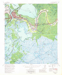 Download a high-resolution, GPS-compatible USGS topo map for Morgan City, LA (1969 edition)