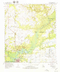 Download a high-resolution, GPS-compatible USGS topo map for Moss Bluff, LA (1979 edition)
