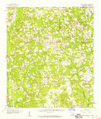 preview thumbnail of historical topo map of Tangipahoa County, LA in 1958