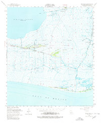 Download a high-resolution, GPS-compatible USGS topo map for Pecan Island, LA (1980 edition)