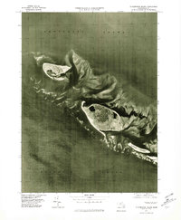 Download a high-resolution, GPS-compatible USGS topo map for Tuckernuck Island, MA (1981 edition)