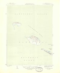 Download a high-resolution, GPS-compatible USGS topo map for Tuckernuck Island, MA (1944 edition)