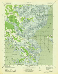 preview thumbnail of historical topo map of Dorchester County, MD in 1943