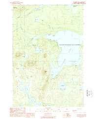Download a high-resolution, GPS-compatible USGS topo map for Allagash Lake, ME (1989 edition)
