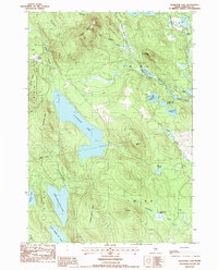 Download a high-resolution, GPS-compatible USGS topo map for Alligator Lake, ME (1988 edition)