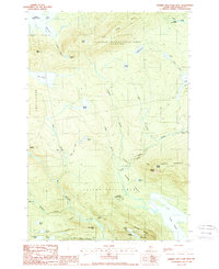 Download a high-resolution, GPS-compatible USGS topo map for Barren Mountain West, ME (1988 edition)