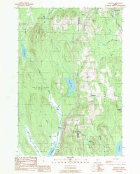 Download a high-resolution, GPS-compatible USGS topo map for Benedicta, ME (1989 edition)