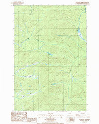 Download a high-resolution, GPS-compatible USGS topo map for Big Brook Lake, ME (1986 edition)