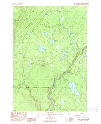 Download a high-resolution, GPS-compatible USGS topo map for Black Brook Pond, ME (1988 edition)