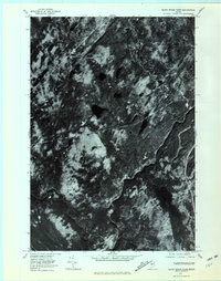 Download a high-resolution, GPS-compatible USGS topo map for Black Brook Pond, ME (1981 edition)