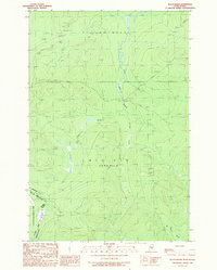Download a high-resolution, GPS-compatible USGS topo map for Black Brook, ME (1989 edition)