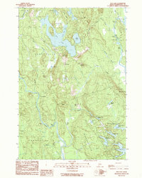 Download a high-resolution, GPS-compatible USGS topo map for Bog Lake, ME (1990 edition)