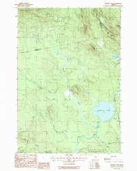 Download a high-resolution, GPS-compatible USGS topo map for Brandy Pond, ME (1988 edition)