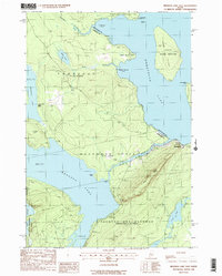 Download a high-resolution, GPS-compatible USGS topo map for Brassua Lake East, ME (1988 edition)