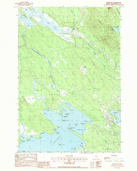 Download a high-resolution, GPS-compatible USGS topo map for Brookton, ME (1988 edition)
