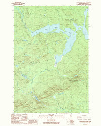 Download a high-resolution, GPS-compatible USGS topo map for Canada Falls Lake, ME (1989 edition)