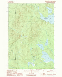 Download a high-resolution, GPS-compatible USGS topo map for Caucomgomoc Lake West, ME (1989 edition)