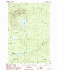 Download a high-resolution, GPS-compatible USGS topo map for Chandler Mtn, ME (1986 edition)