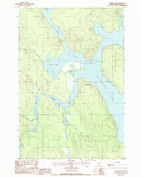 Download a high-resolution, GPS-compatible USGS topo map for Chesuncook, ME (1988 edition)