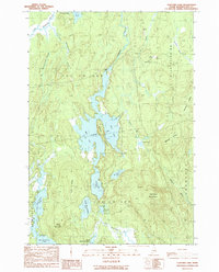 Download a high-resolution, GPS-compatible USGS topo map for Cliford Lake, ME (1990 edition)