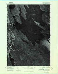 Download a high-resolution, GPS-compatible USGS topo map for Danforth NE, ME (1980 edition)