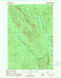 Download a high-resolution, GPS-compatible USGS topo map for Deasey Mountain, ME (1989 edition)